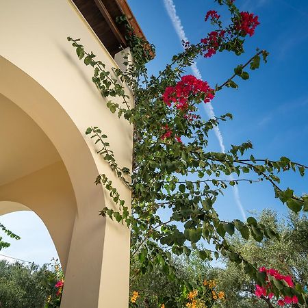 Olga Studios Vasilikí Exteriör bild