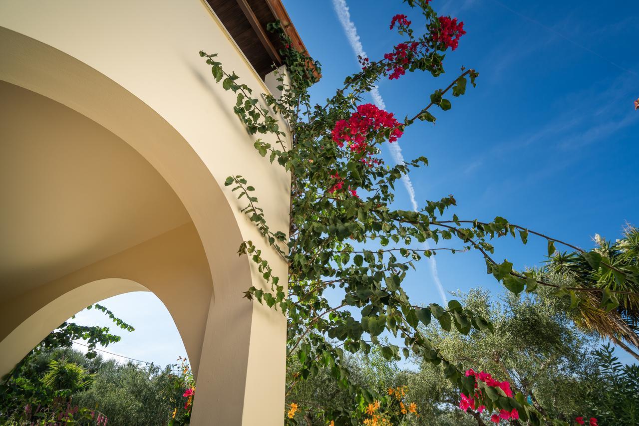 Olga Studios Vasilikí Exteriör bild